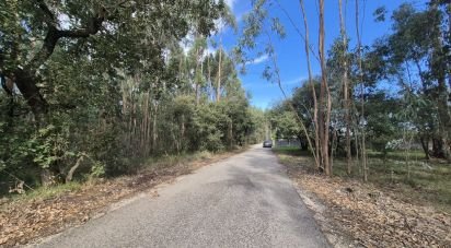 Terrain à bâtir à Pedreiras de 740 m²