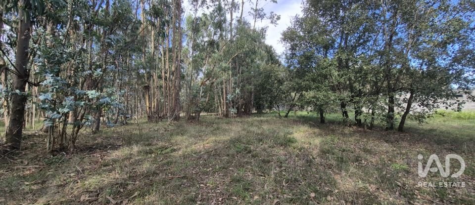 Terreno urbano em Pedreiras de 740 m²