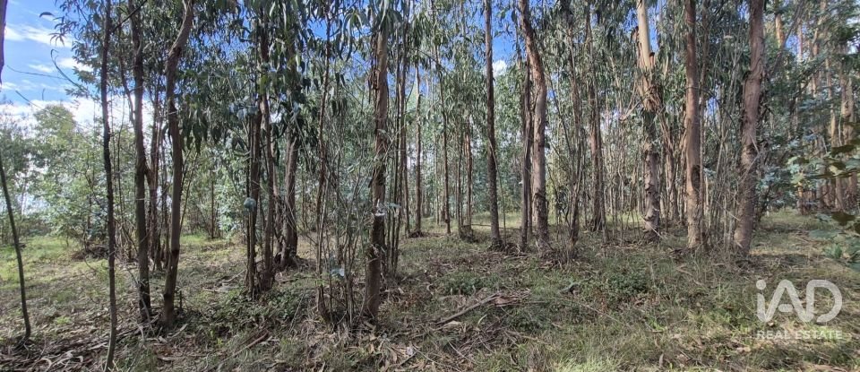 Terreno urbano em Pedreiras de 740 m²
