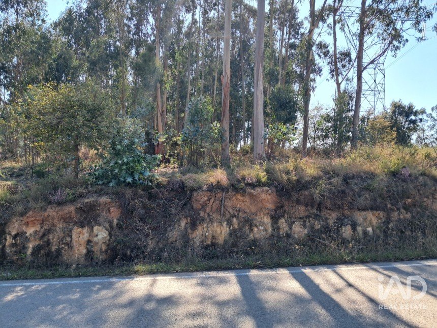 Terreno urbano em Souto da Carpalhosa e Ortigosa de 2 154 m²