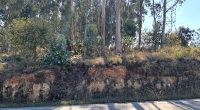 Terrain à bâtir à Souto da Carpalhosa e Ortigosa de 2 154 m²