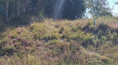 Terrain à bâtir à Souto da Carpalhosa e Ortigosa de 2 154 m²