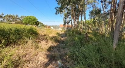 Terrain à bâtir à Souto da Carpalhosa e Ortigosa de 2 154 m²