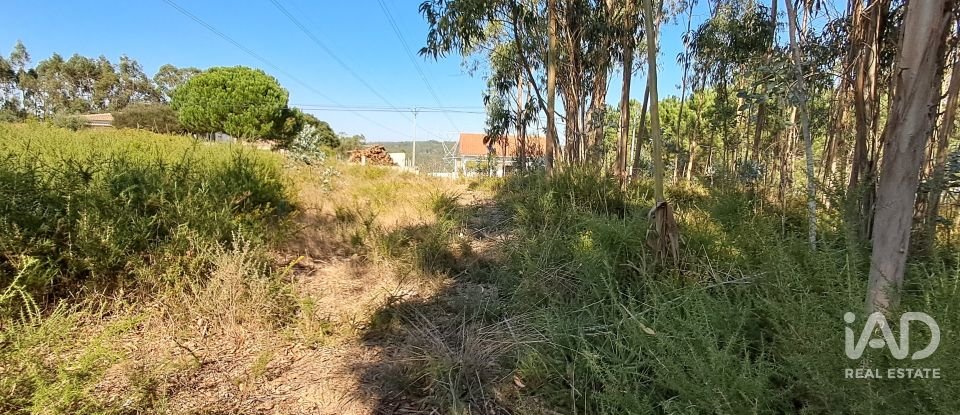 Terreno urbano em Souto da Carpalhosa e Ortigosa de 2 154 m²