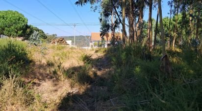 Terrain à bâtir à Souto da Carpalhosa e Ortigosa de 2 154 m²