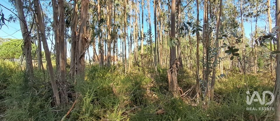 Terreno urbano em Souto da Carpalhosa e Ortigosa de 2 154 m²