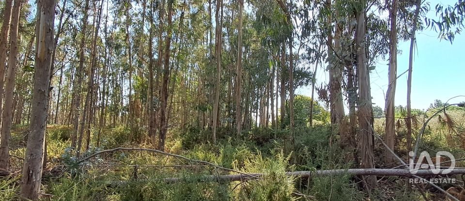 Terreno urbano em Souto da Carpalhosa e Ortigosa de 2 154 m²