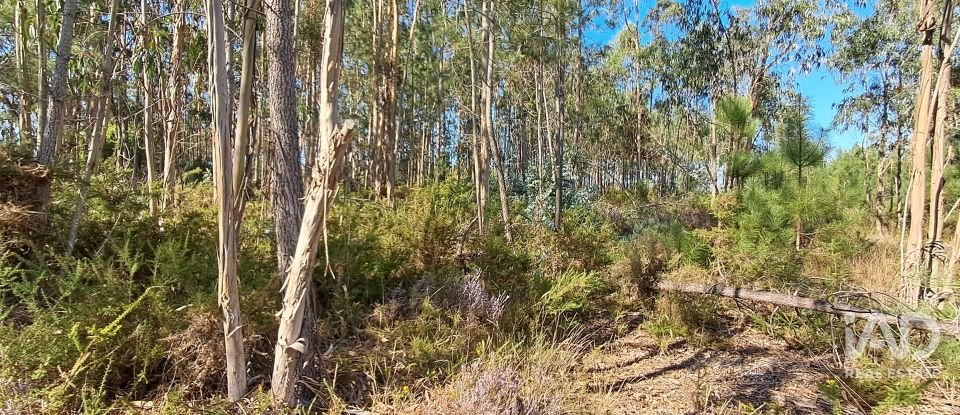 Terreno urbano em Souto da Carpalhosa e Ortigosa de 2 154 m²