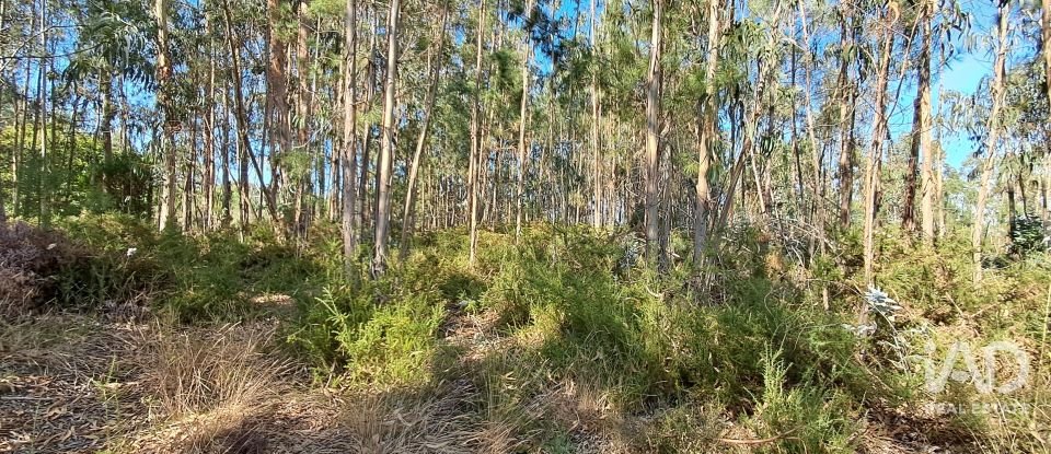 Terreno urbano em Souto da Carpalhosa e Ortigosa de 2 154 m²