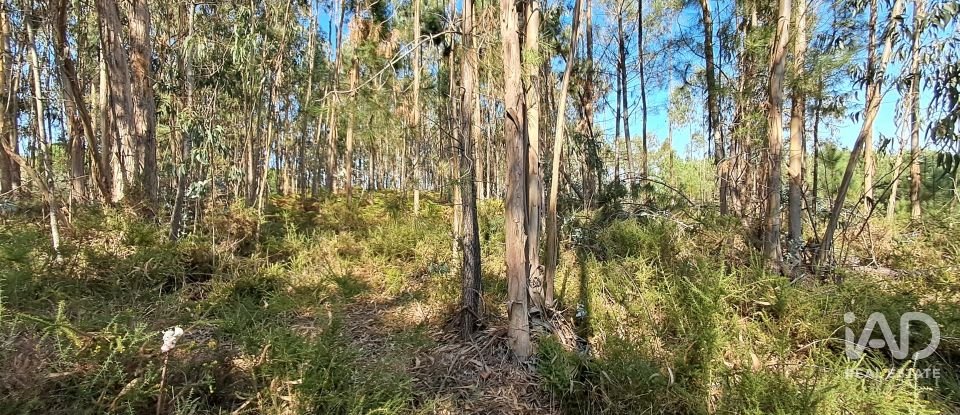 Terreno urbano em Souto da Carpalhosa e Ortigosa de 2 154 m²