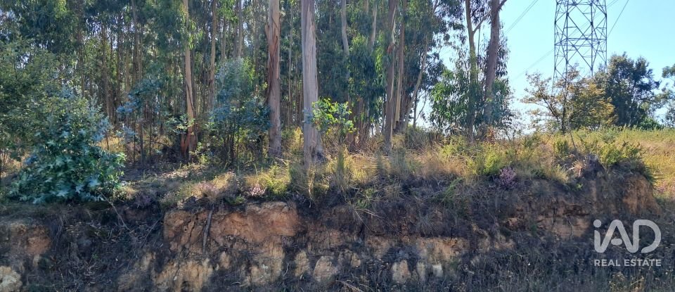 Terreno urbano em Souto da Carpalhosa e Ortigosa de 2 154 m²
