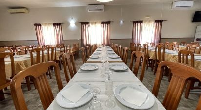 Boutique/Local commercial à Madalena e Beselga de 593 m²