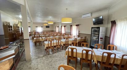 Boutique/Local commercial à Madalena e Beselga de 593 m²