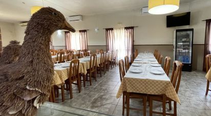 Boutique/Local commercial à Madalena e Beselga de 593 m²