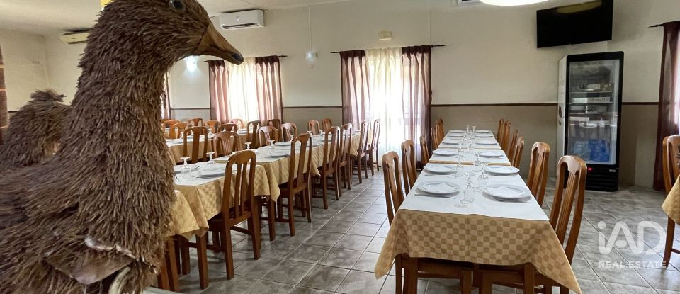 Boutique/Local commercial à Madalena e Beselga de 593 m²