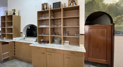 Boutique/Local commercial à Madalena e Beselga de 593 m²