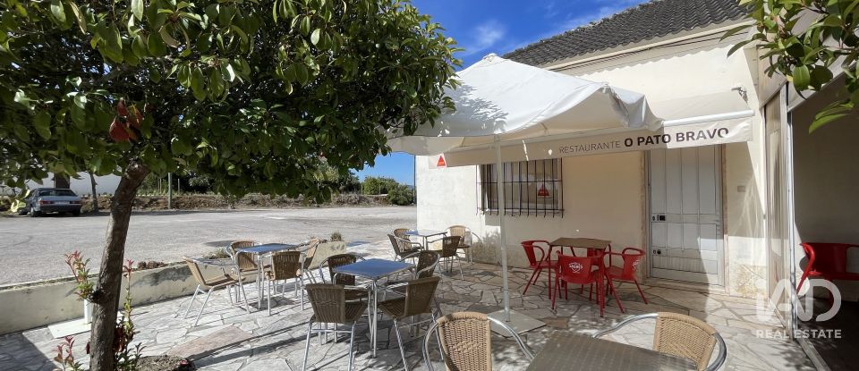 Boutique/Local commercial à Madalena e Beselga de 593 m²