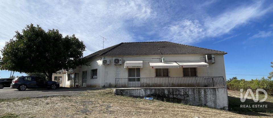 Boutique/Local commercial à Madalena e Beselga de 593 m²