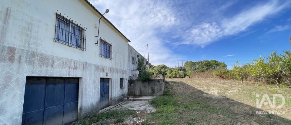 Boutique/Local commercial à Madalena e Beselga de 593 m²