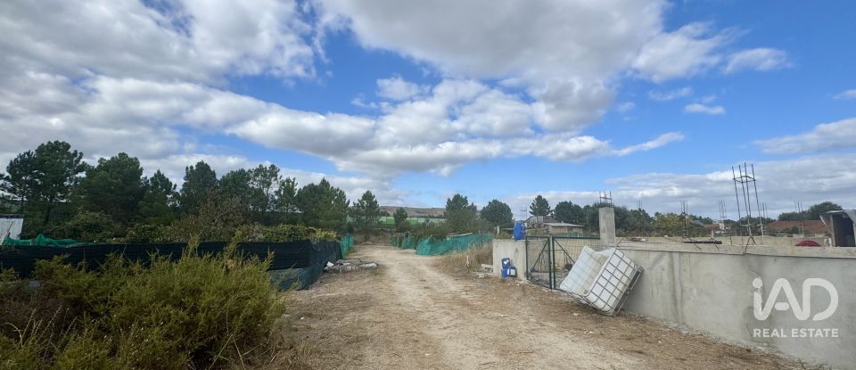 Terreno rústico em Quinta do Anjo de 630 m²