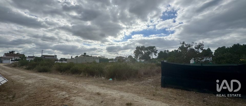 Terreno rústico em Quinta do Anjo de 630 m²