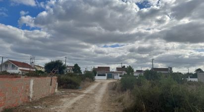 Terrain agricole à Quinta do Anjo de 630 m²