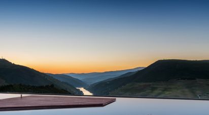 Ferme T7 à Folgosa de 2 594 m²