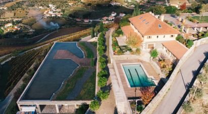 Ferme T7 à Folgosa de 2 594 m²