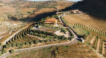 Ferme T7 à Folgosa de 2 594 m²