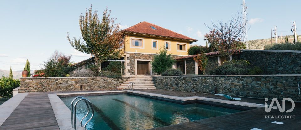 Ferme T7 à Folgosa de 2 594 m²