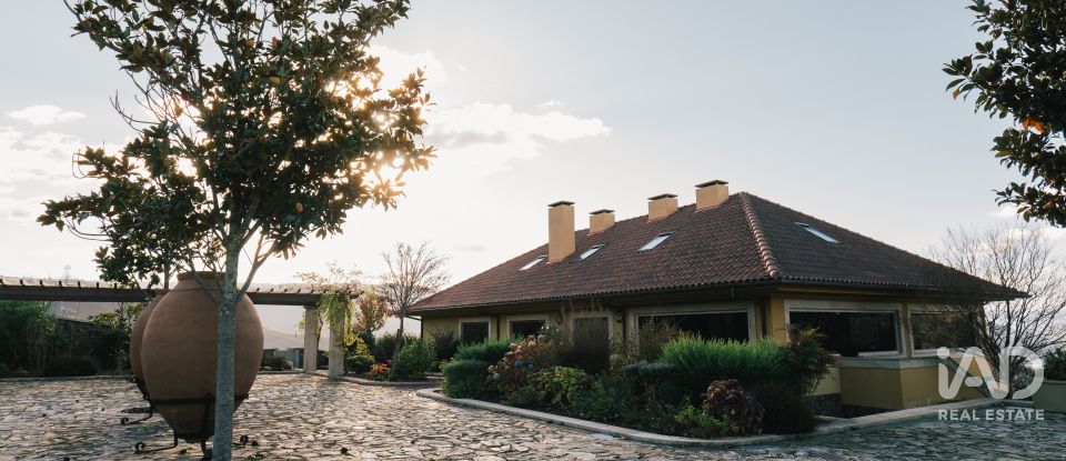 Ferme T7 à Folgosa de 2 594 m²