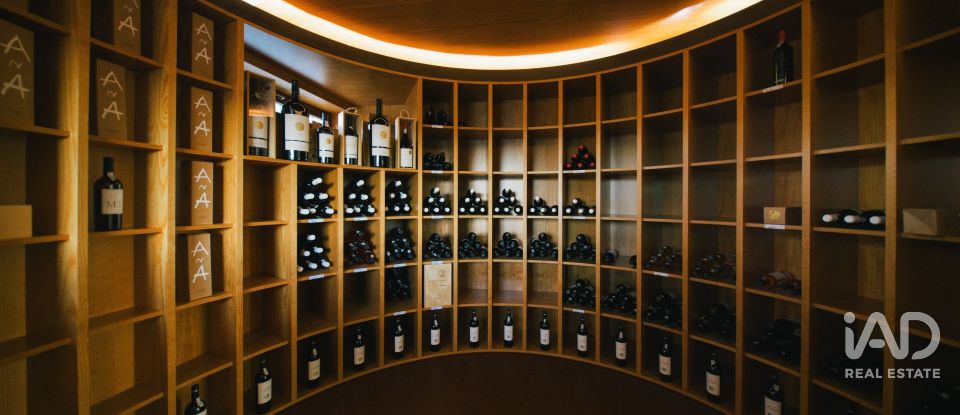 Ferme T7 à Folgosa de 2 594 m²