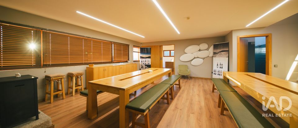 Ferme T7 à Folgosa de 2 594 m²