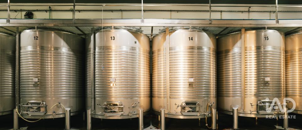 Ferme T7 à Folgosa de 2 594 m²