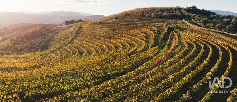 Ferme T7 à Folgosa de 2 594 m²