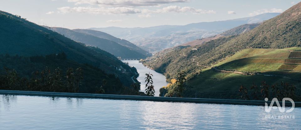 Ferme T7 à Folgosa de 2 594 m²