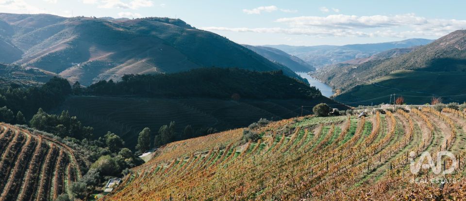 Ferme T7 à Folgosa de 2 594 m²