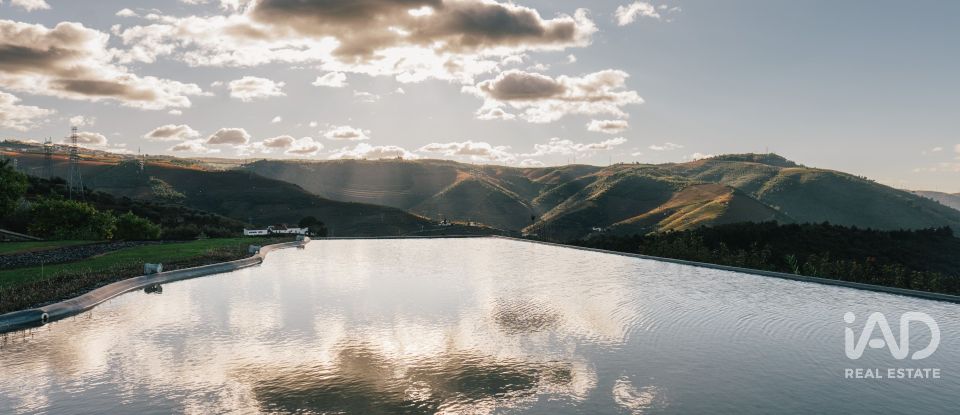 Ferme T7 à Folgosa de 2 594 m²