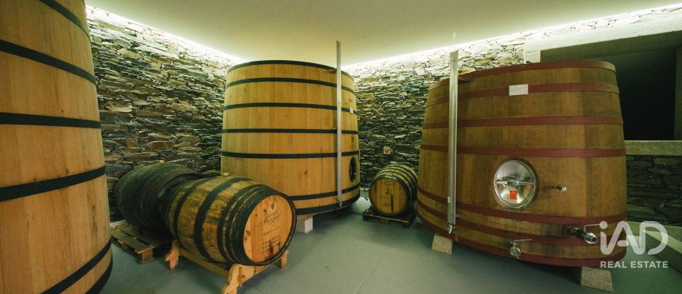 Ferme T7 à Folgosa de 2 594 m²