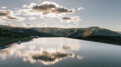 Ferme T7 à Folgosa de 2 594 m²