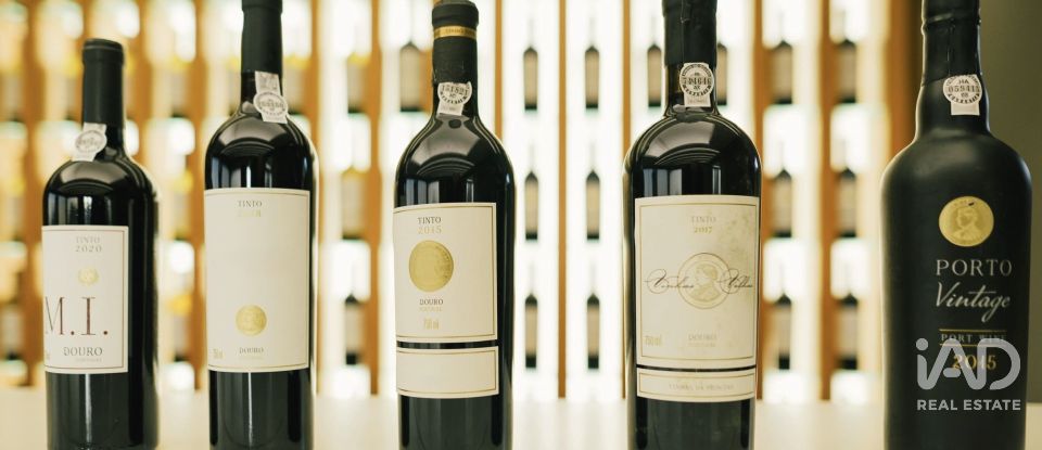 Ferme T7 à Folgosa de 2 594 m²