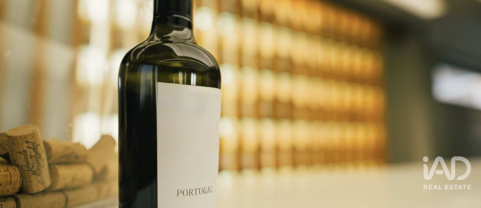 Ferme T7 à Folgosa de 2 594 m²