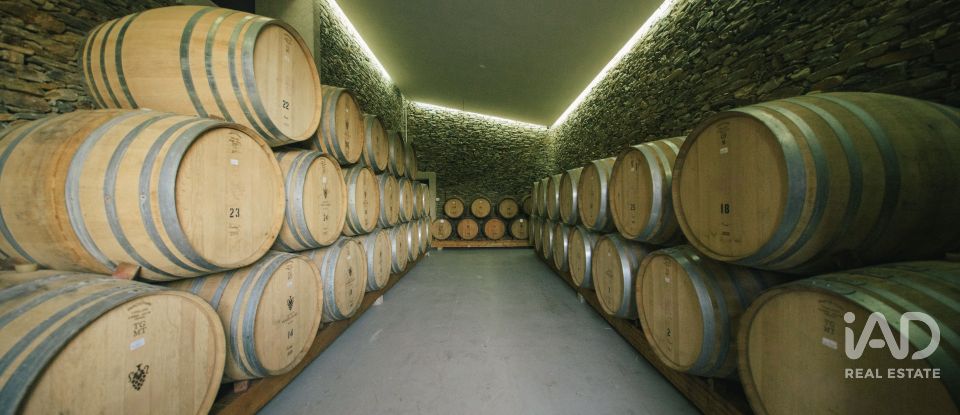 Ferme T7 à Folgosa de 2 594 m²