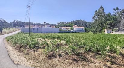 Terrain agricole à Maceira de 3 076 m²