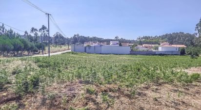 Terrain agricole à Maceira de 3 076 m²