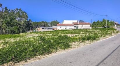 Terrain agricole à Maceira de 3 076 m²