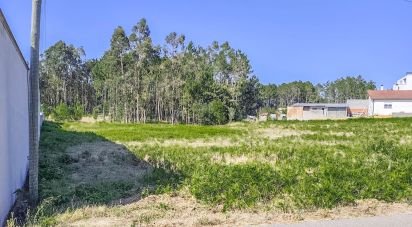 Terrain agricole à Maceira de 3 076 m²