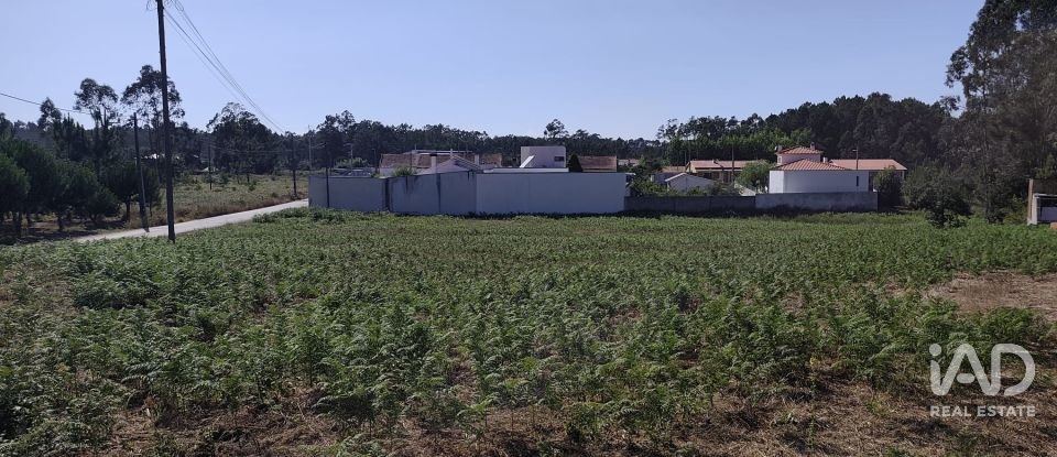 Terreno rústico em Maceira de 3 076 m²