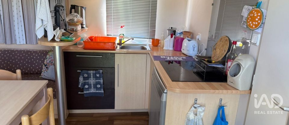 Quinta T0 em Odeceixe de 24 m²