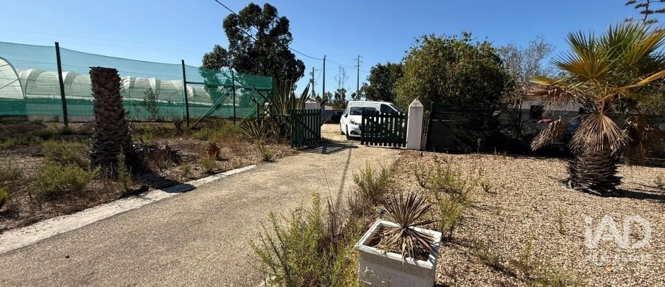 Quinta T0 em Odeceixe de 24 m²